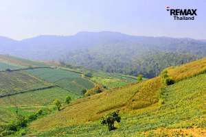  Thoeng, Plong 